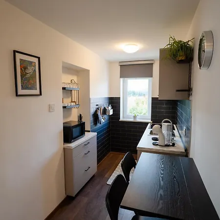 Apartment Katarina Delnice